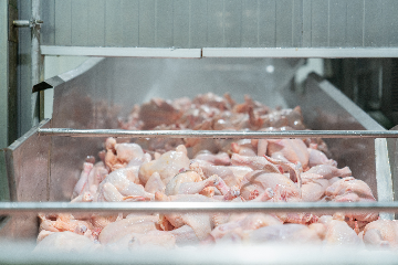 Endüstriyel Kesimhane Kurulumu